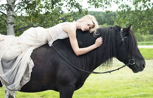 horse_by_marteline-d45o4ij