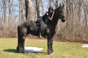 girl_and_horse_stock_013_by_me
