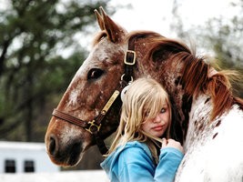 OCF_Horse_Trials___ID_by_Sunat