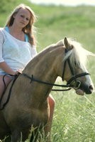my_horse_likes_you_by_hasendan