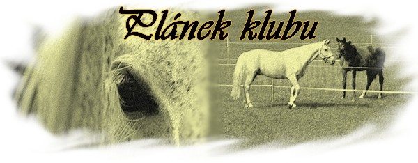 Cemetery_Horse_by_lucias_tears