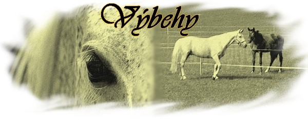 Cemetery_Horse_by_lucias_tears