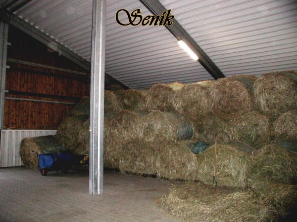 phoca_thumb_l_senik_02