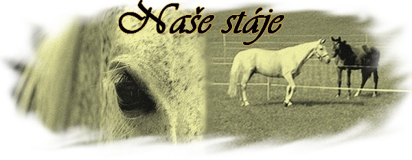 Cemetery_Horse_by_lucias_tears