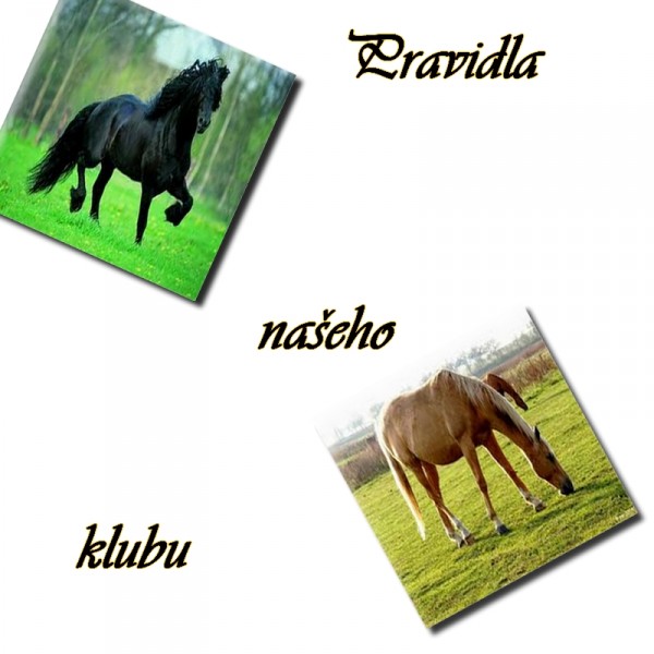 pravidla