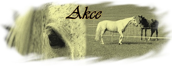Cemetery_Horse_by_lucias_tears