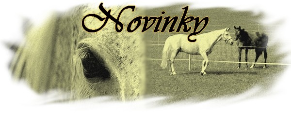 Cemetery_Horse_by_lucias_tears
